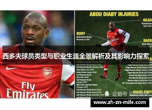 西多夫球员类型与职业生涯全景解析及其影响力探索 西多夫球员类型与职业生涯全景解析及其影响力探索