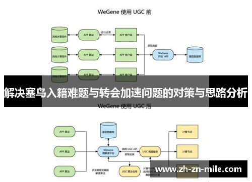 解决塞鸟入籍难题与转会加速问题的对策与思路分析
