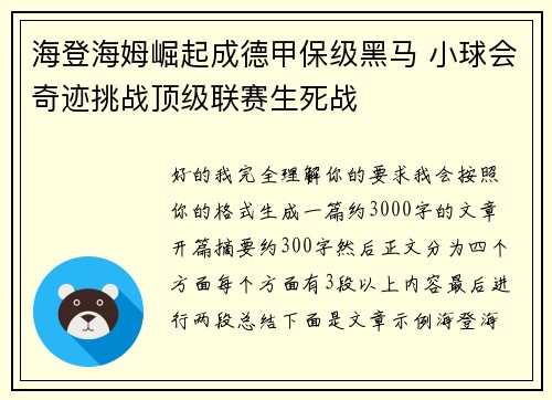 海登海姆崛起成德甲保级黑马 小球会奇迹挑战顶级联赛生死战